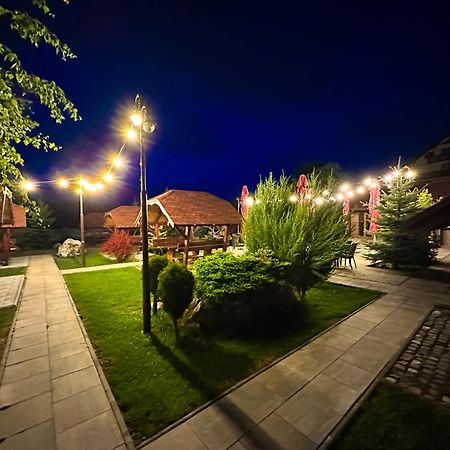 Vila Hora Cu Brazi Zărneşti 外观 照片